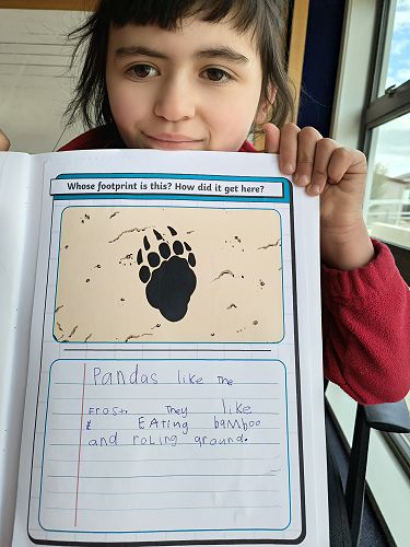 Harper writing about her favourite animal