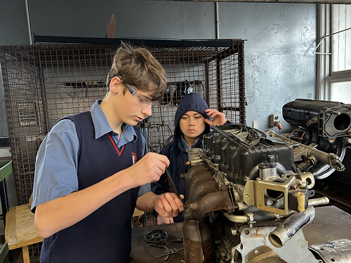 Max and Hearty in Hard Material