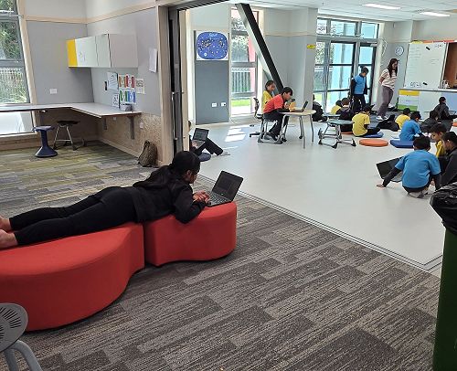 Finding your own learning space in Pōhutukawa