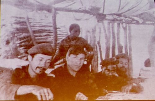 Level Two History Seminar - 1981 Springbok Tour