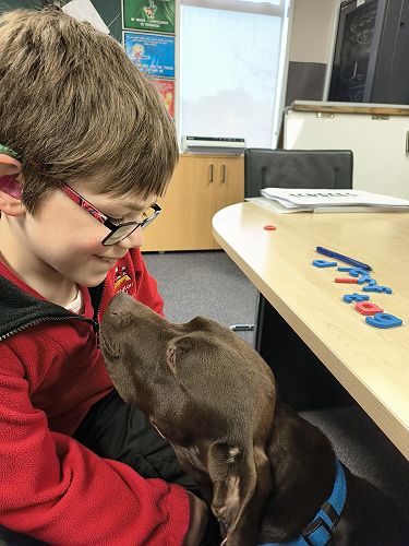 John and Kahu the school dog manipulating letters to make words