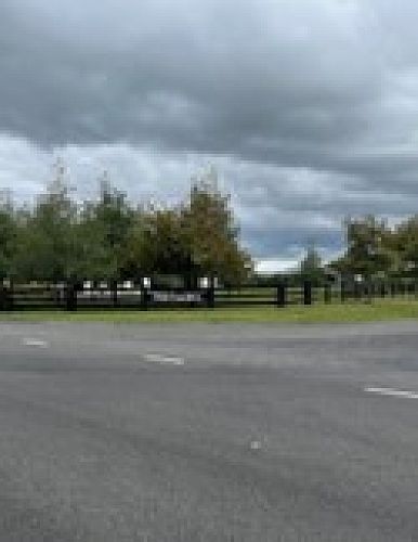 500-constrained-a73af770-491d-46c1-b678-261d95a9a092