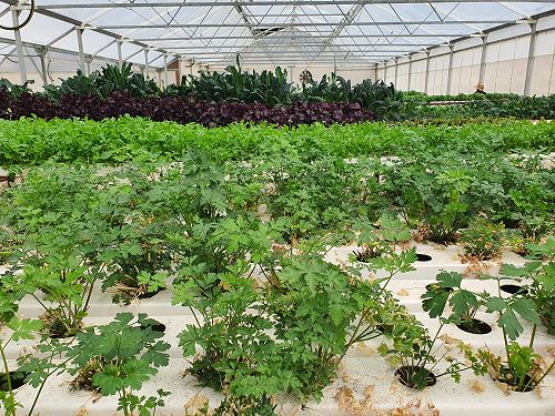 12FDN Central Otago Trip