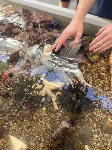 Year 12 Biology Students Dive Deep into Learning at the Marine Studies Centre