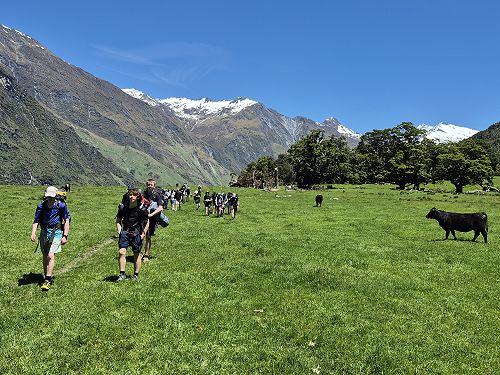 10B - Mt Aspiring, November 2025