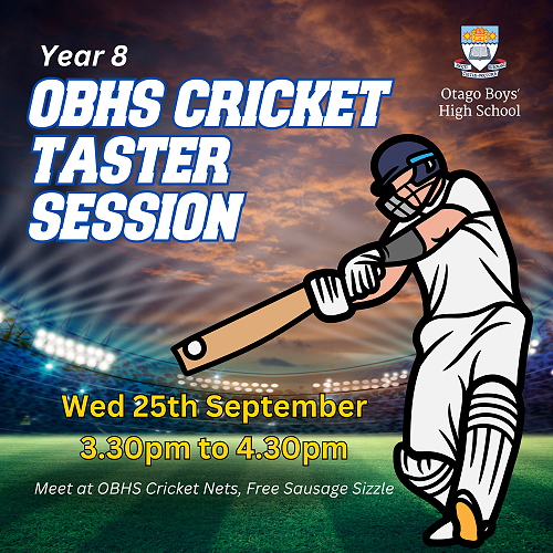 Year 8 cricket session