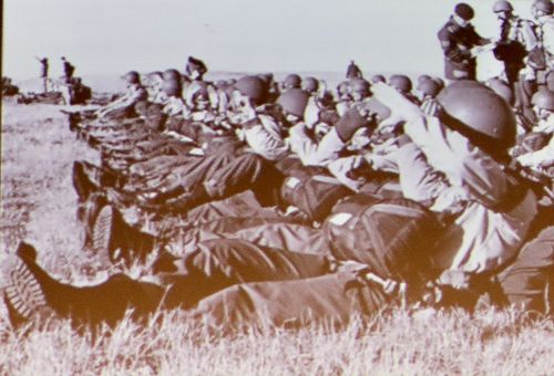 Level Two History Seminar - 1981 Springbok Tour