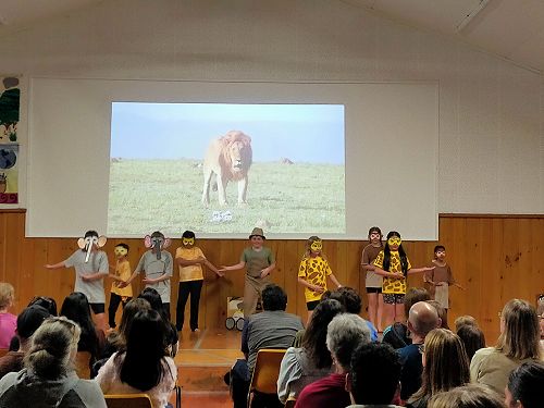 Some of our Year 5/6 students represented South Africa with a safari trip and traditional pata pata dance.