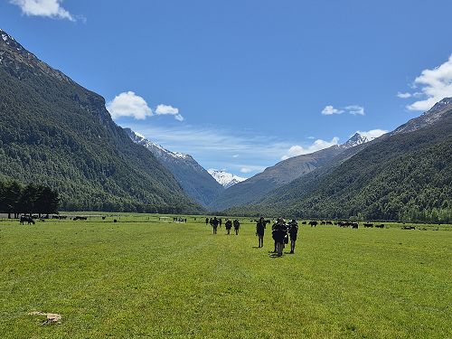10B - Mt Aspiring, November 2025
