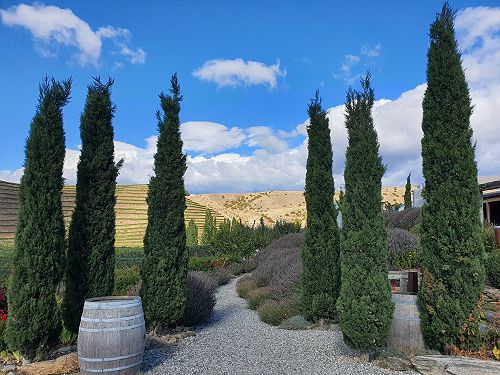 12FDN Central Otago Trip
