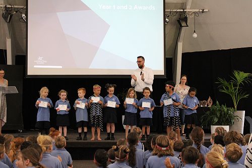 Year 0-1 Awards