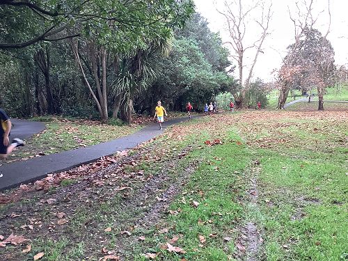 2024 Senior Cross Country