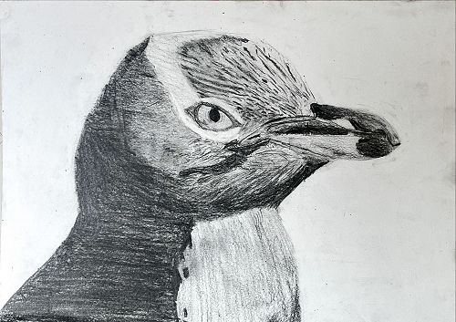 Year 9 Art
