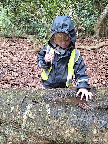 Charlotte's Preschool Adventure