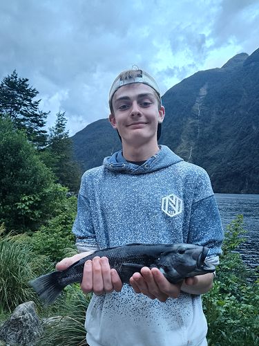Liam's 34cm Blue Cod