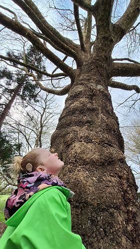 Grace's Kindergarten Adventure Walk