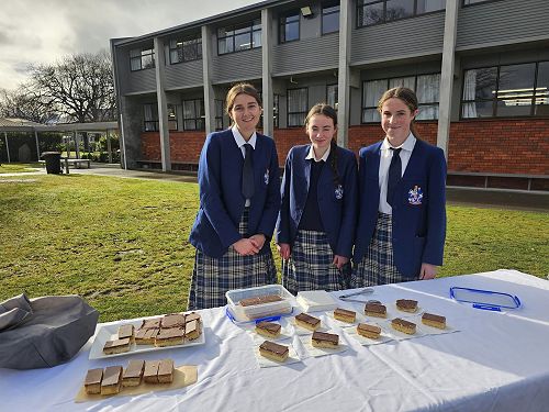 Accounting, Commerce and Fiancial Literacy