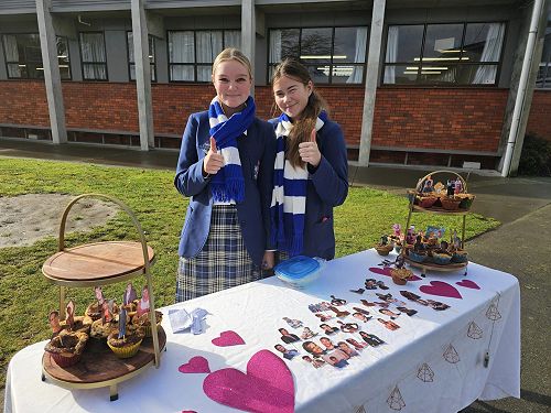 Accounting, Commerce and Fiancial Literacy