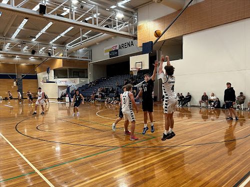 Basketball Update