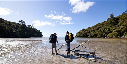 Hiking the Rakiura Track