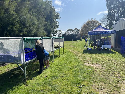 Trees for Survival Set Up