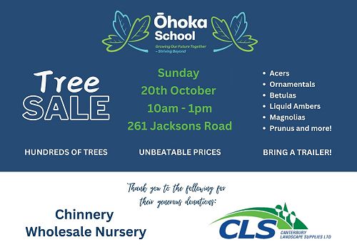 500-constrained-e16a99e0-8602-4319-a67d-a8d97718c0d6