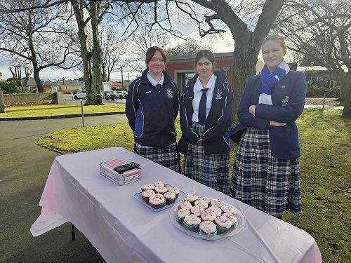 Accounting, Commerce and Fiancial Literacy