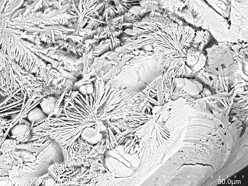 Details within a salt crystal