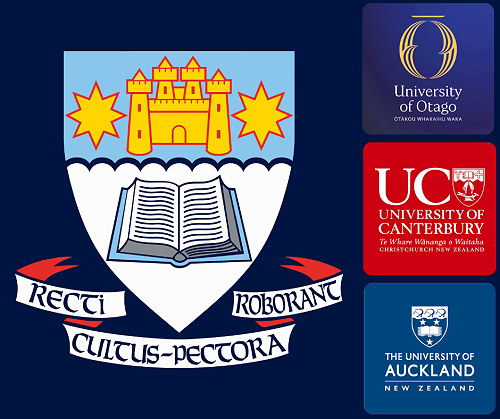 Academic Excellence: Celebrating University Transitions