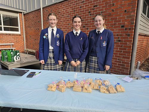 Accounting, Commerce and Fiancial Literacy