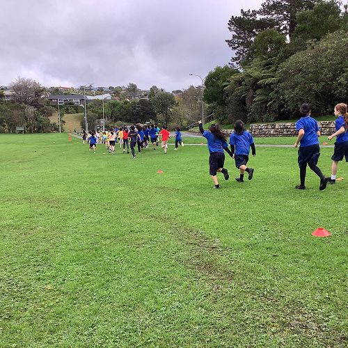 2024 Senior Cross Country