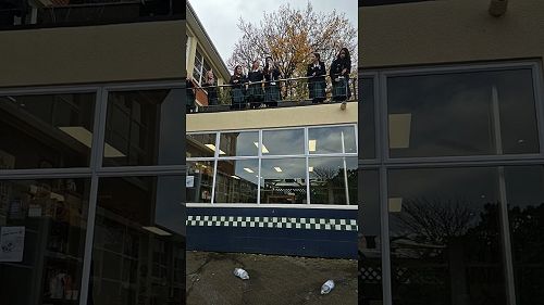 Video: Acceleration due to Gravity on Earth 1