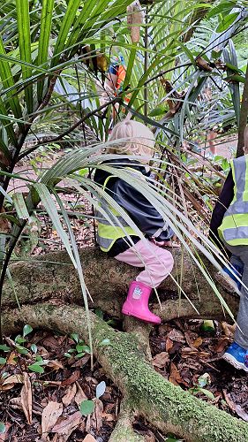 Charlotte's Preschool Adventure Walk