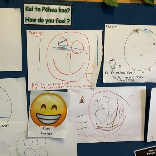 Video: Kei te pehea koe