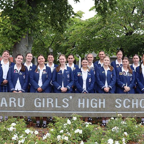 Level 2 Excellence and Merit Endorsement