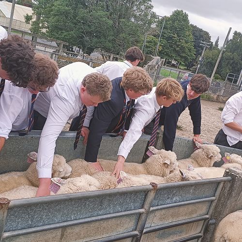 Year 12's getting hands-on at Invermay