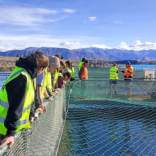 Year 13 Agribusiness learning about Mt Cook Alpine Salmon's value chain.