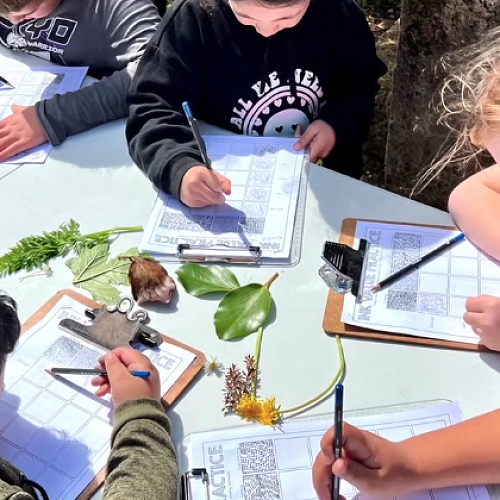 Video: An Amazing Year for Whangārei and Northland