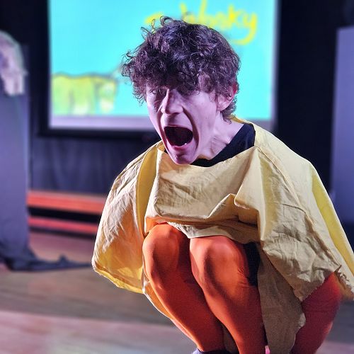 Year 11 Drama - Primary Outreach Project