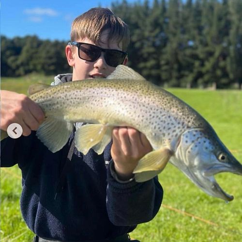 Video: A Year of Connection and Mahi in Southland