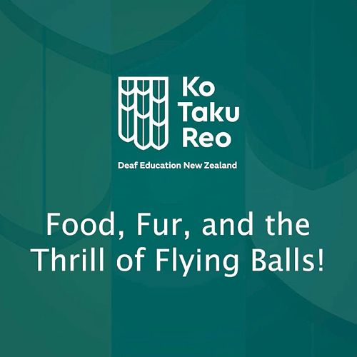 Video: Food, Fur, and the Thrill of Flying Balls