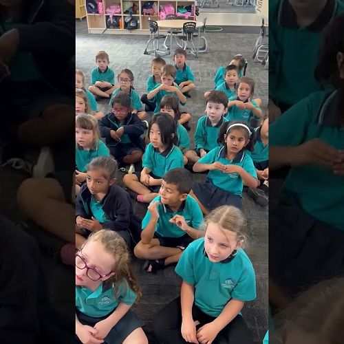 Video: Year 1 have been busy learning We are Aotearoa for Waiata a kura on Mondays.