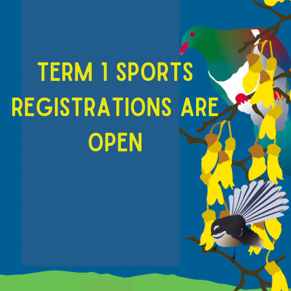 Term 1 2026 Sports Registrations