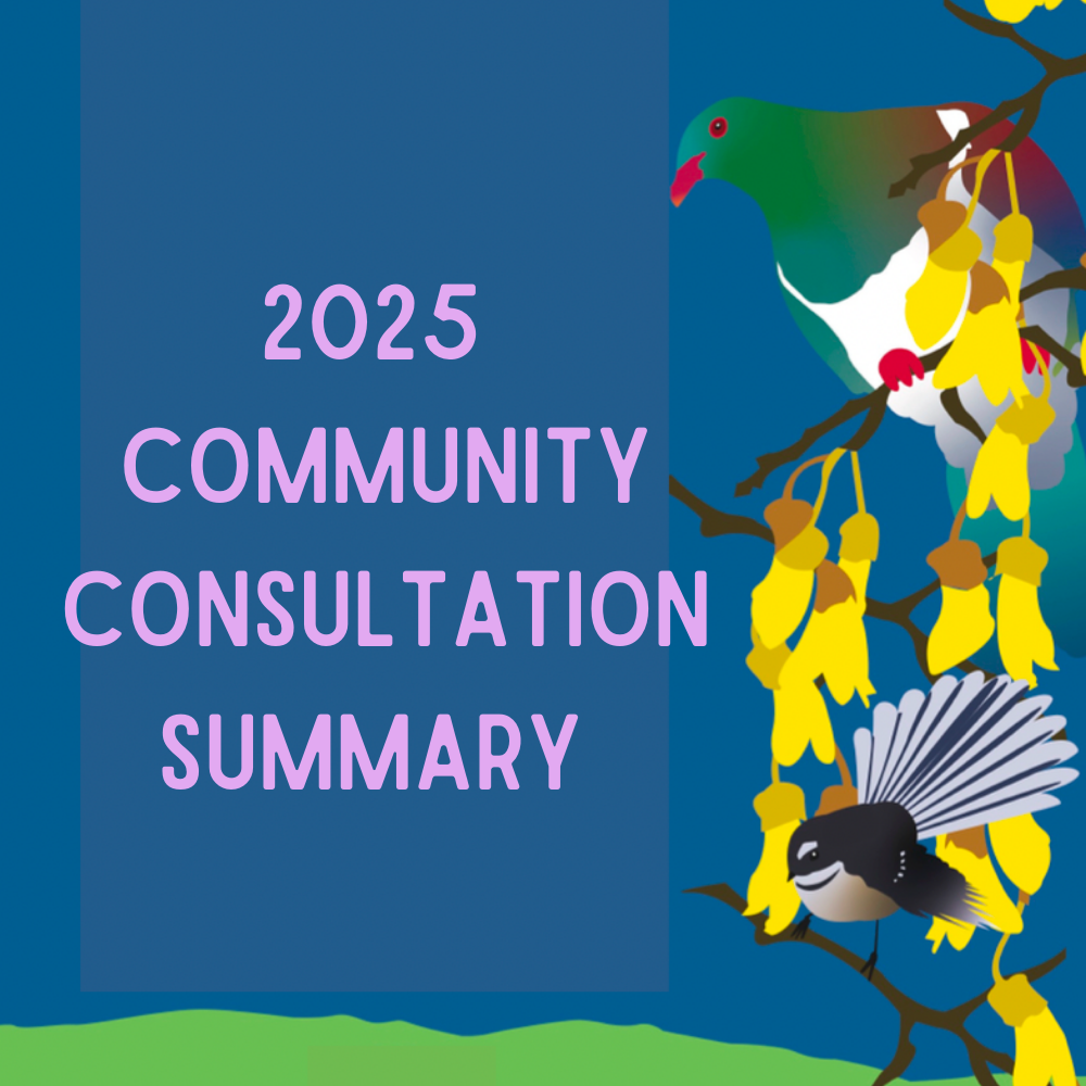 Summary of Community Consultation (2025)