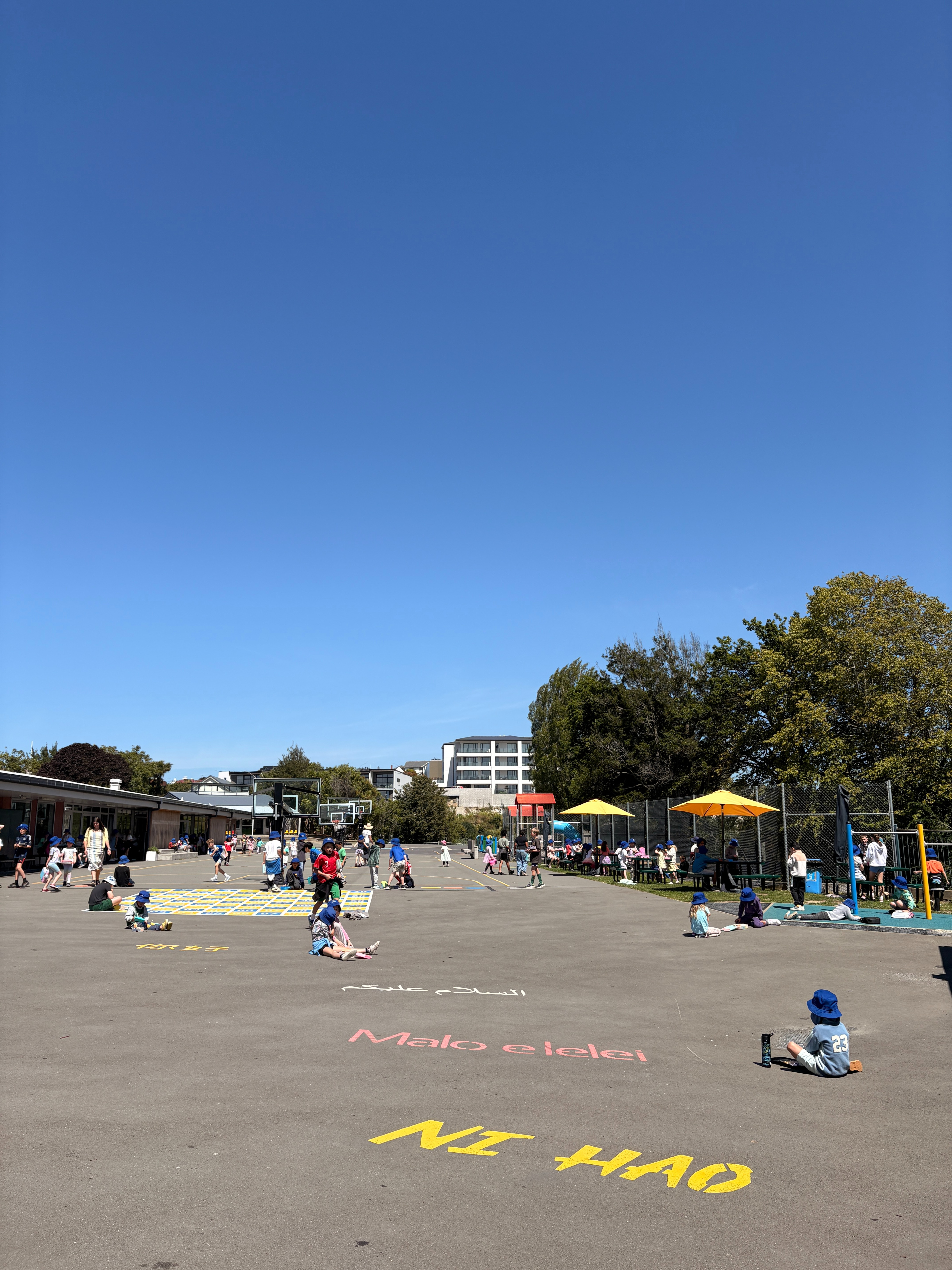 Principal's News 5/2/26