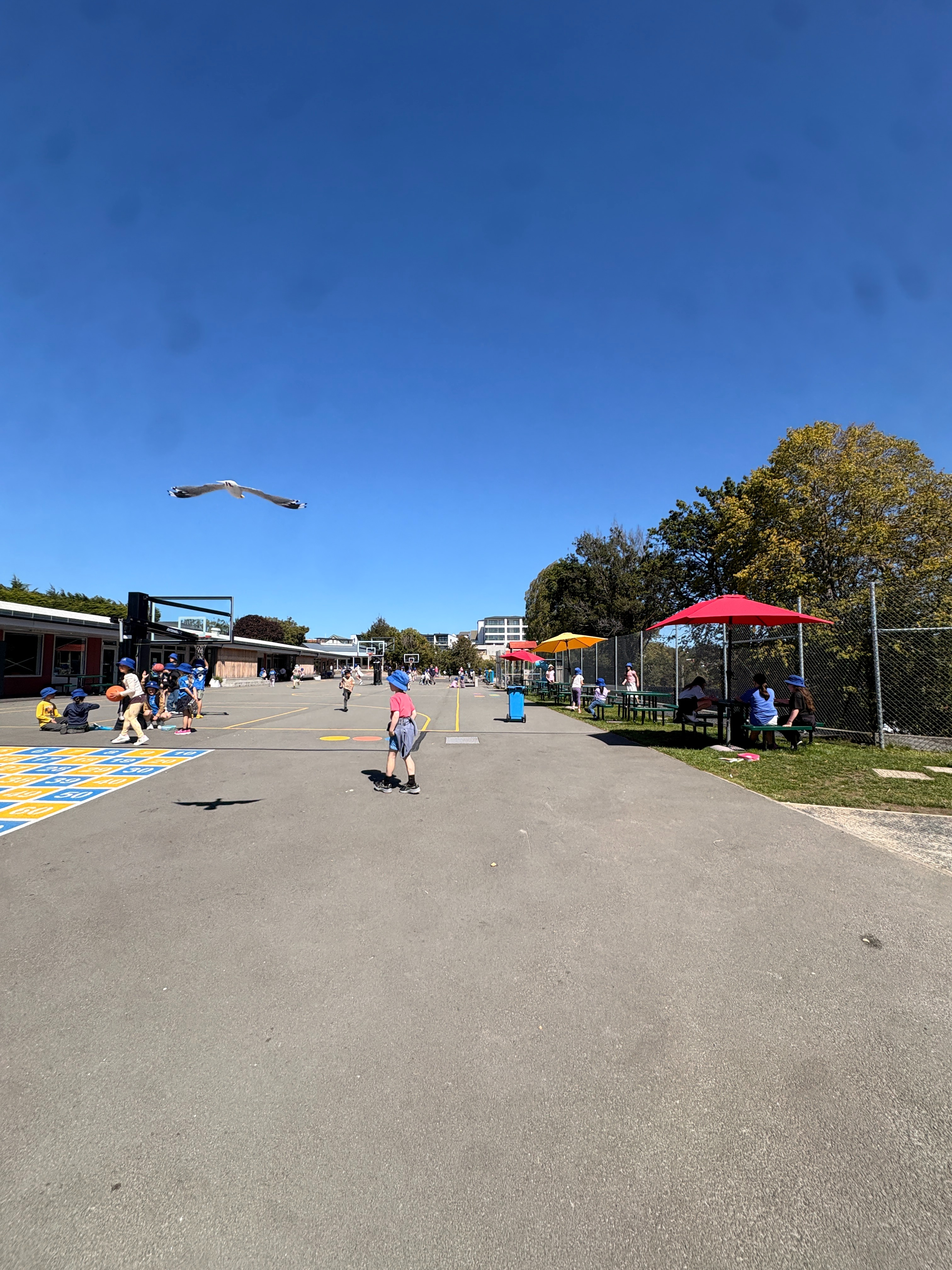 Principal's News 6/3/26