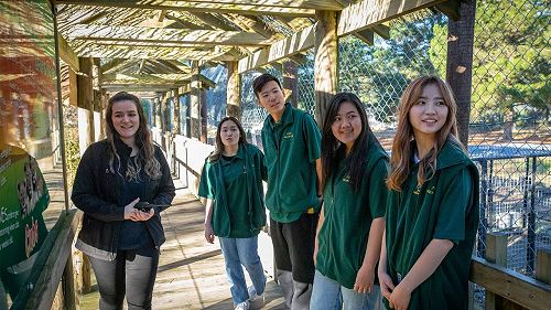 Video: BeKiwi - Do Christchurch and Canterbury