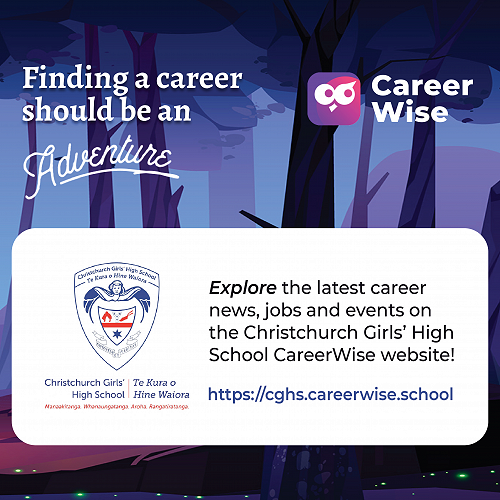 CareerWise
