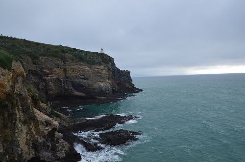 International Trip to Albatross Colony