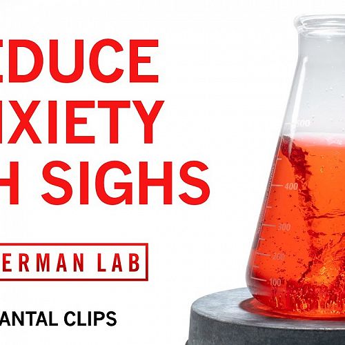 Video: Reduce Anxiety & Stress with the Physiological Sigh | Huberman Lab Quantal Clip